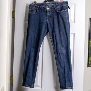 Low Rise Skinny Jeans Dark Rinse Slim Leg Modern Fit